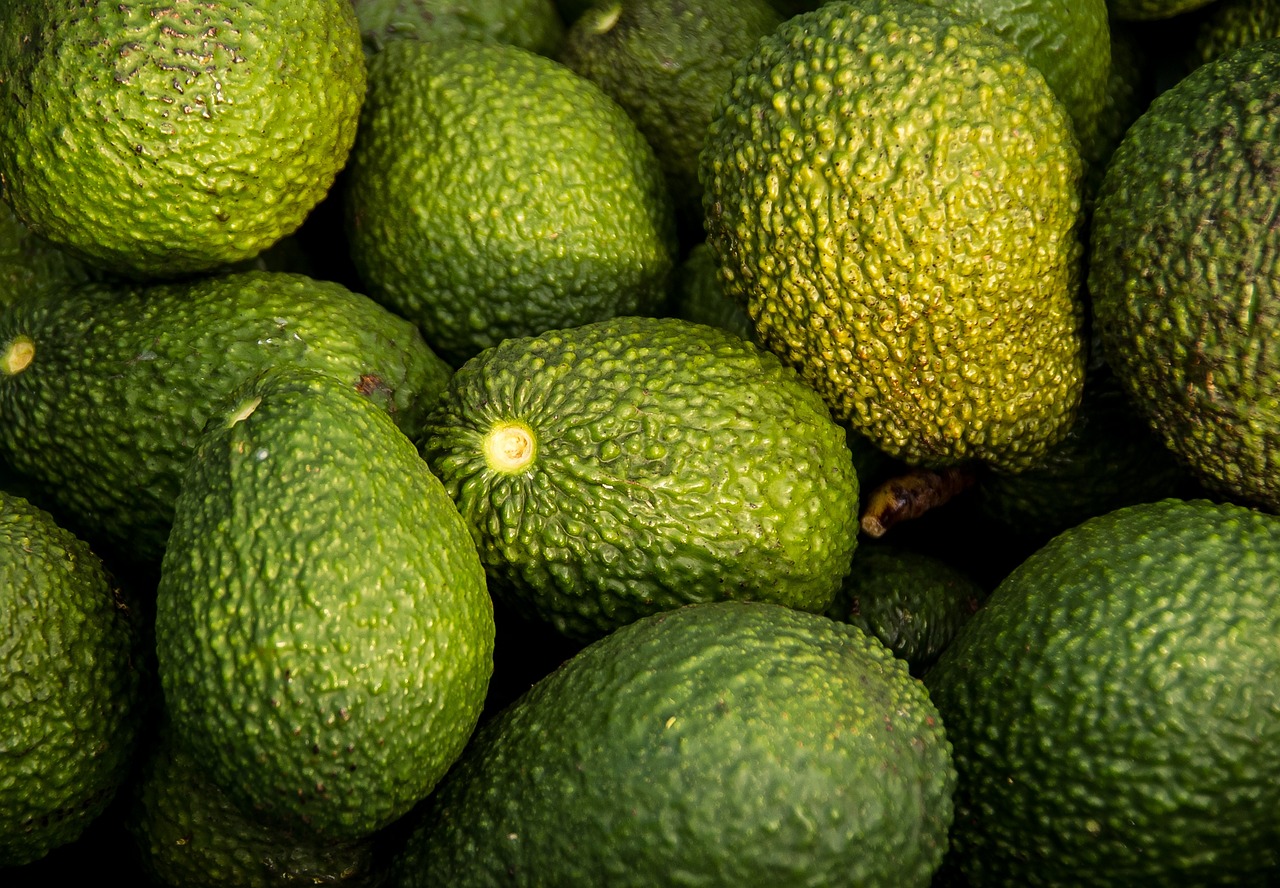 entdecken sie die kraft der superfoods! erfahren sie, wie diese nährstoffreichen lebensmittel ihre gesundheit und ihr wohlbefinden fördern können. von chiasamen bis quinoa - beleben sie ihre ernährung mit superfoods für mehr energie und vitalität.