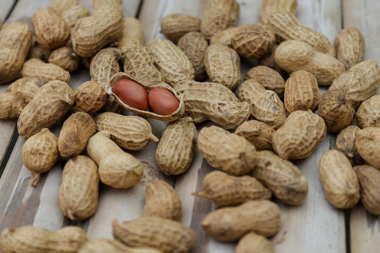 entdecken sie eine vielzahl an pflanzlichen proteinquellen für eine gesunde, vegetarische ernährung. von hülsenfrüchten bis zu nüssen – finden sie heraus, wie sie ihren proteingehalt ganz einfach steigern können.