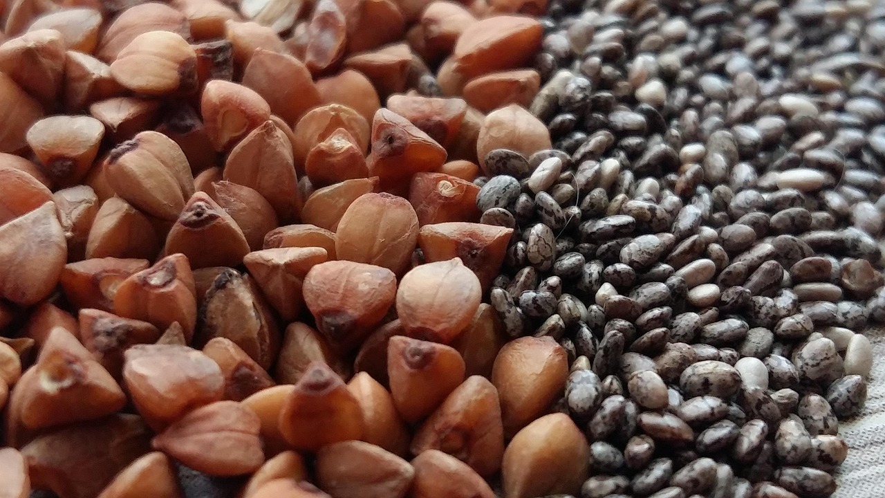 entdecken sie die besten pflanzlichen proteinquellen für eine ausgewogene vegetarische ernährung. von hülsenfrüchten über nüsse bis hin zu vollkornprodukten - erfahren sie, wie sie ihren proteinbedarf auf gesunde weise decken können.