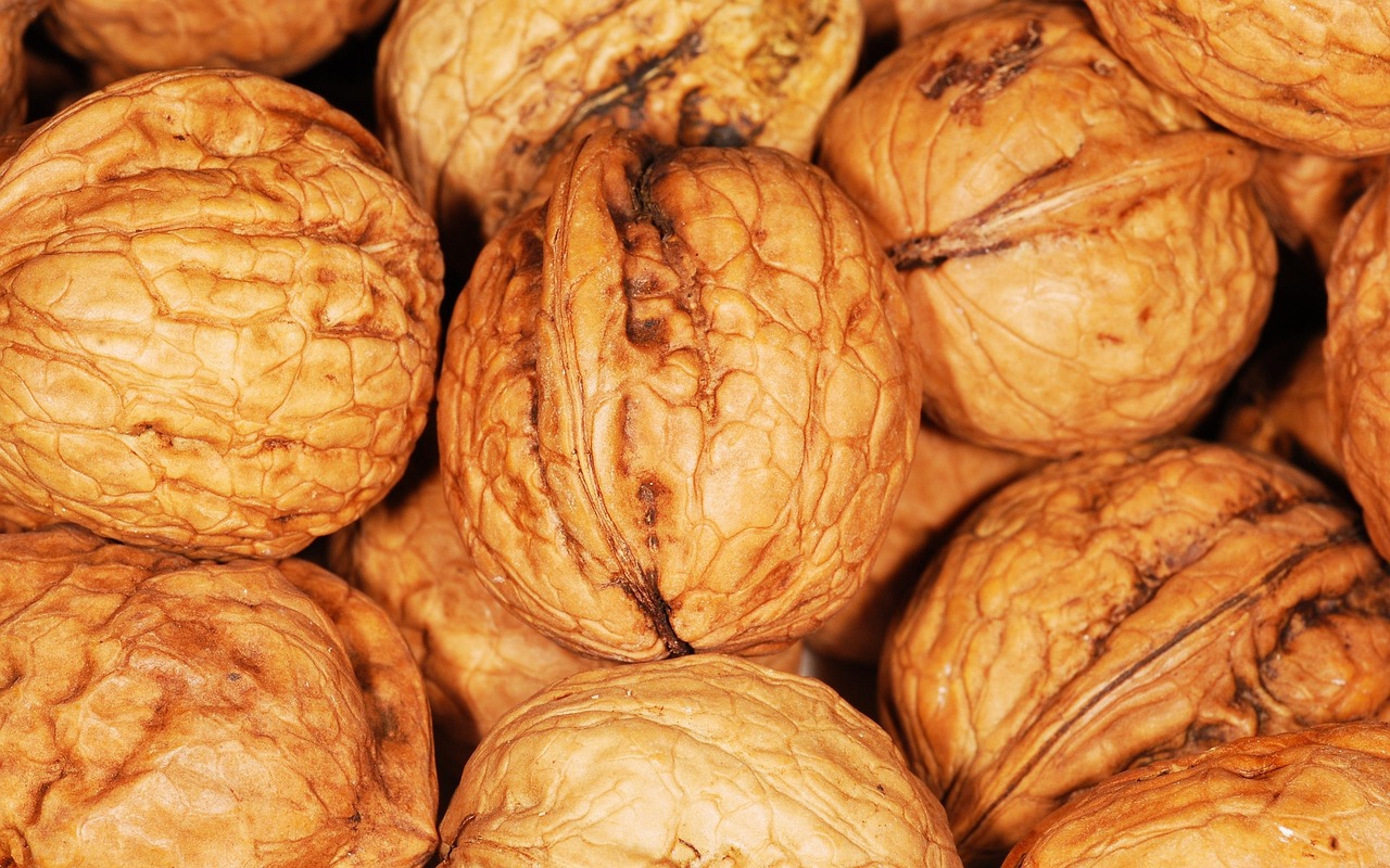 entdecken sie gesunde und nahrhafte vegetarische proteinquellen. erfahren sie, wie sie pflanzliche lebensmittel in ihre ernährung integrieren können, um ihren proteinbedarf auf köstliche und ausgewogene weise zu decken.