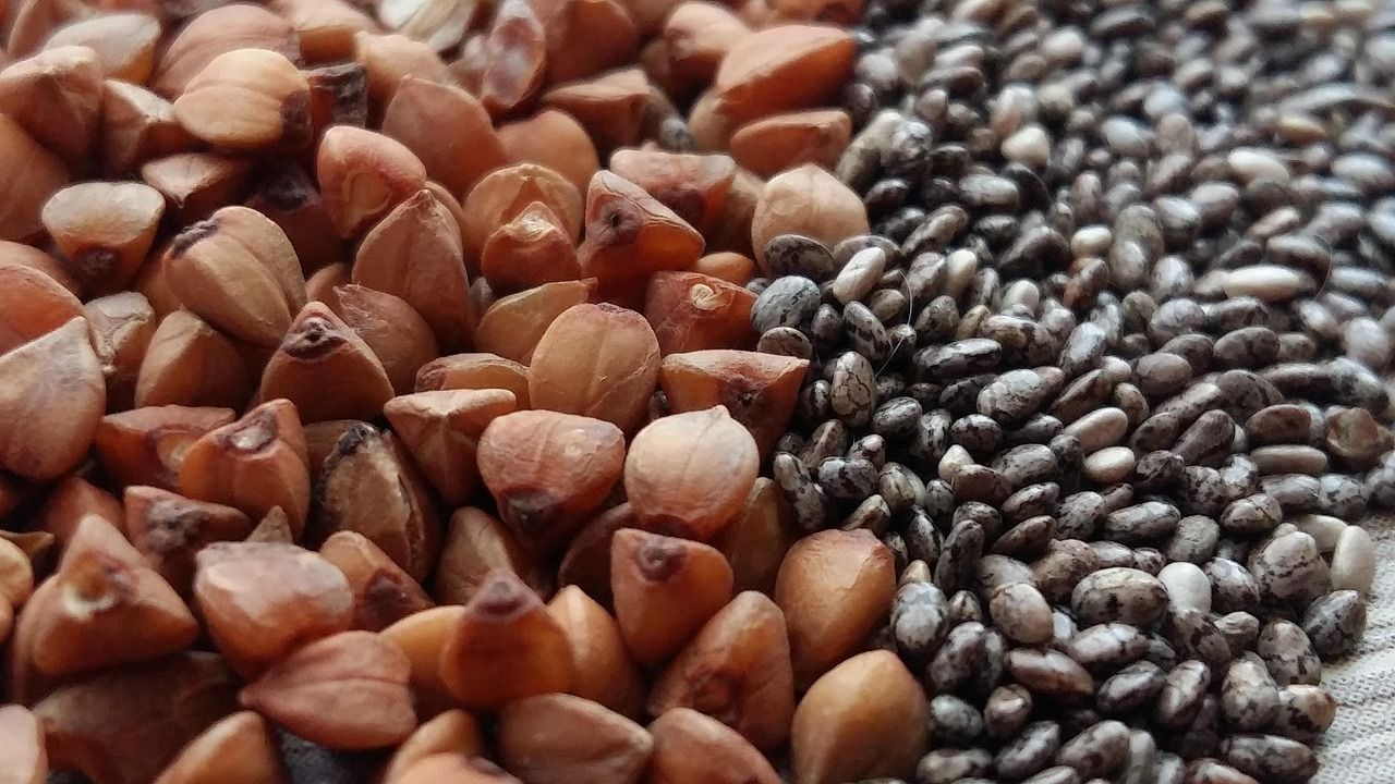 entdecken sie die besten pflanzlichen proteinquellen für eine ausgewogene vegetarische ernährung. von hülsenfrüchten über nüsse bis hin zu vollkornprodukten - erfahren sie, wie sie ihren proteinbedarf auf gesunde weise decken können.