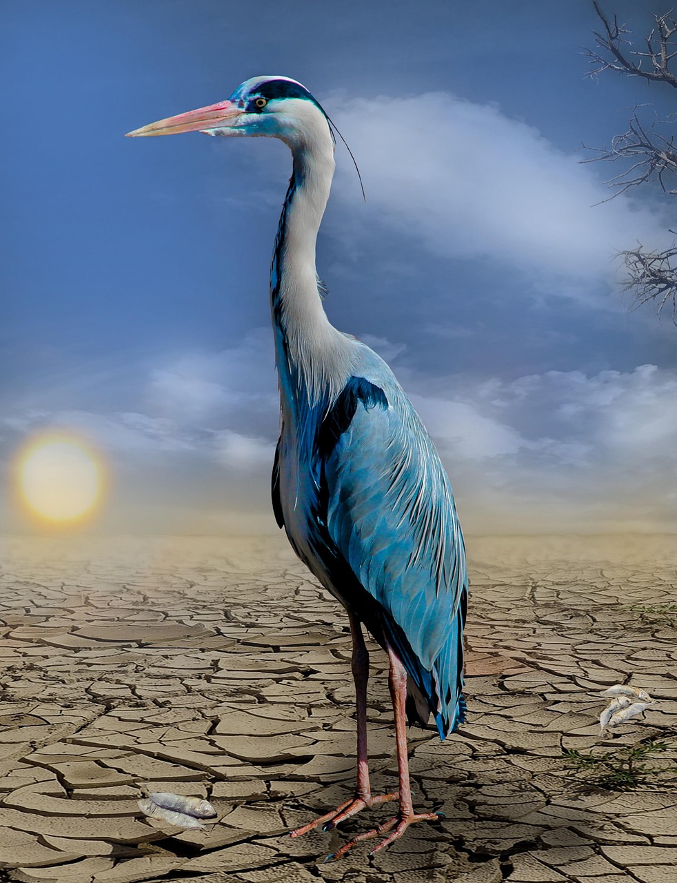 Welche Auswirkungen hat der Klimawandel auf die deutsche Wirtschaft?